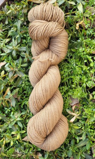 Die Walli - Karamell