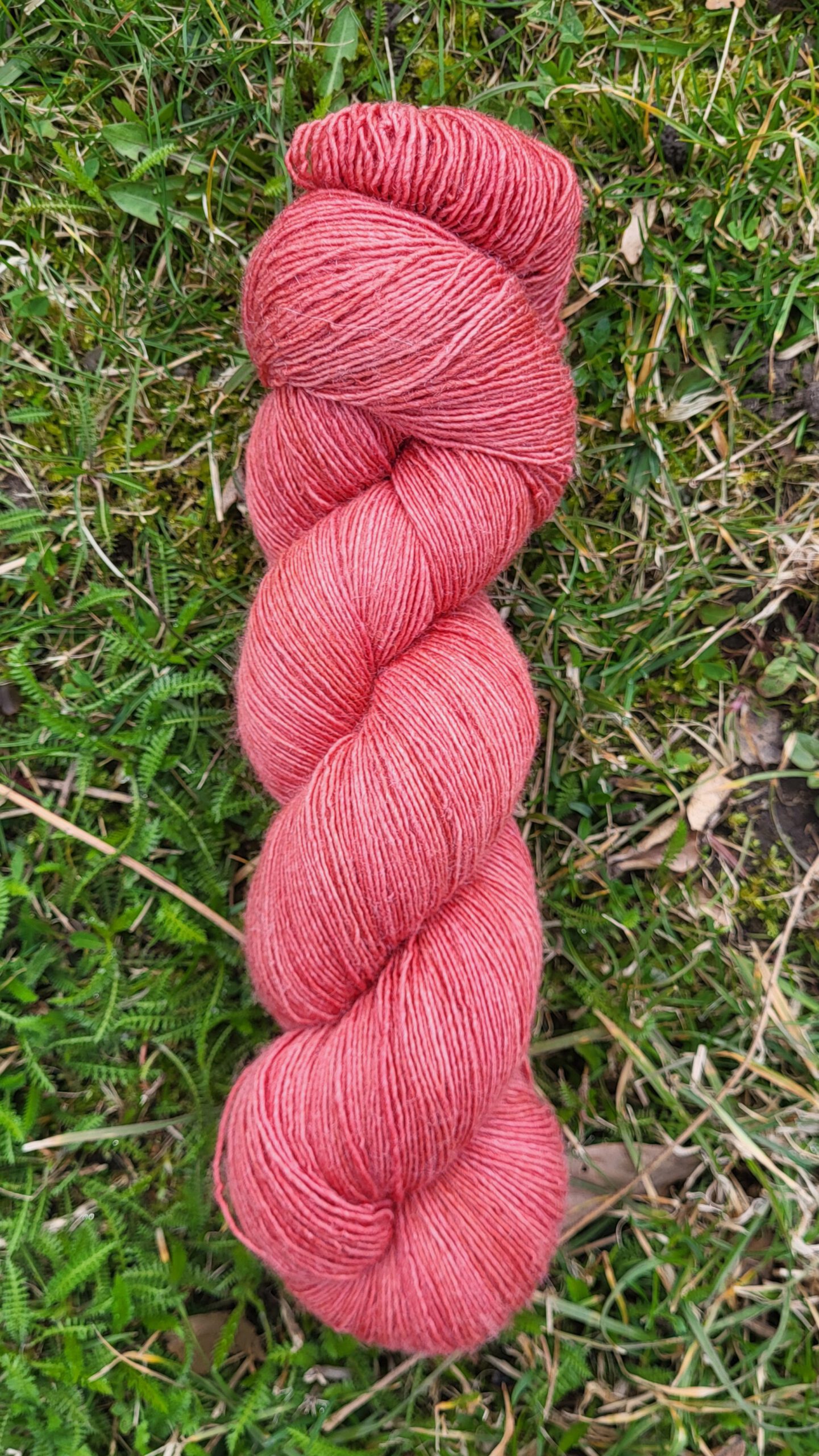 Die feine Flora - Terracotta