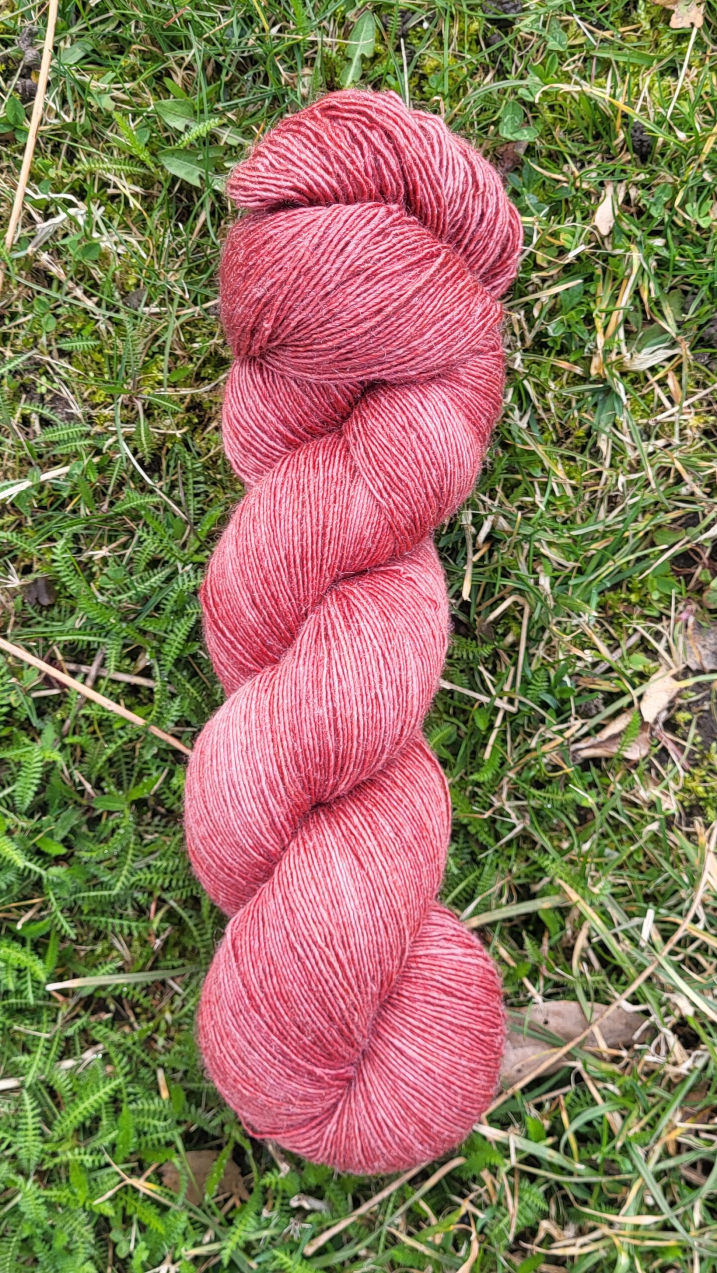 Die feine Flora - Backstein