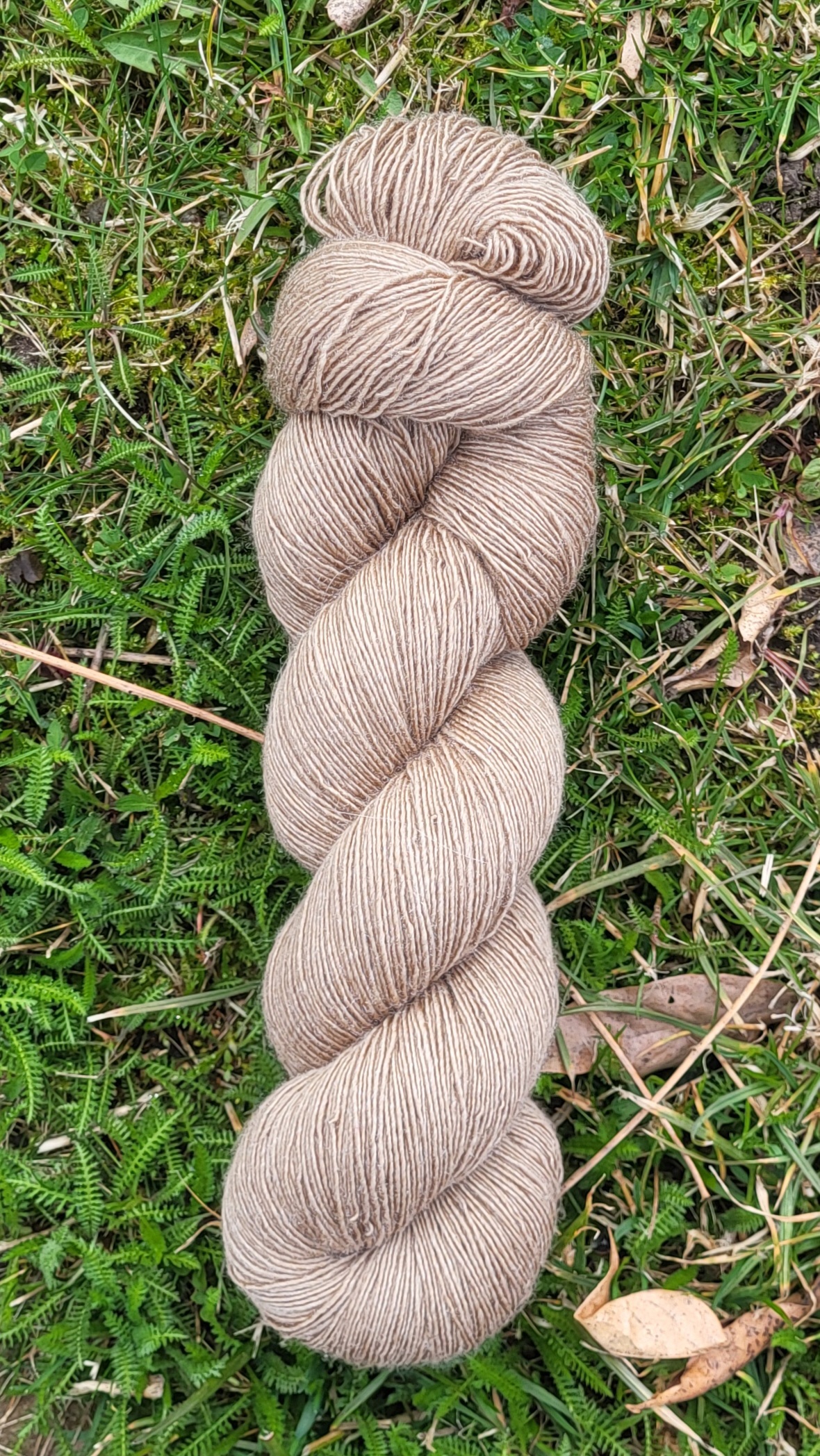 Die feine Flora - Karamell