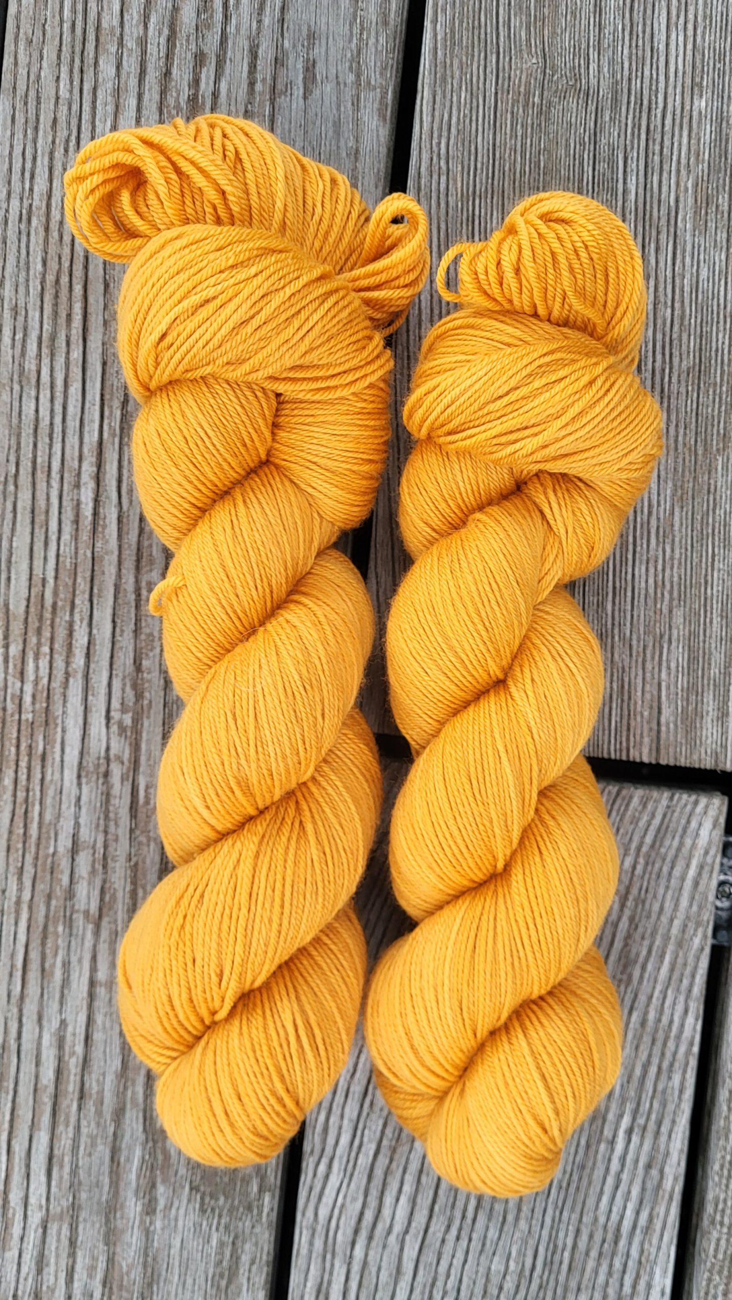 Die samtige Soffi - sanfte Orange