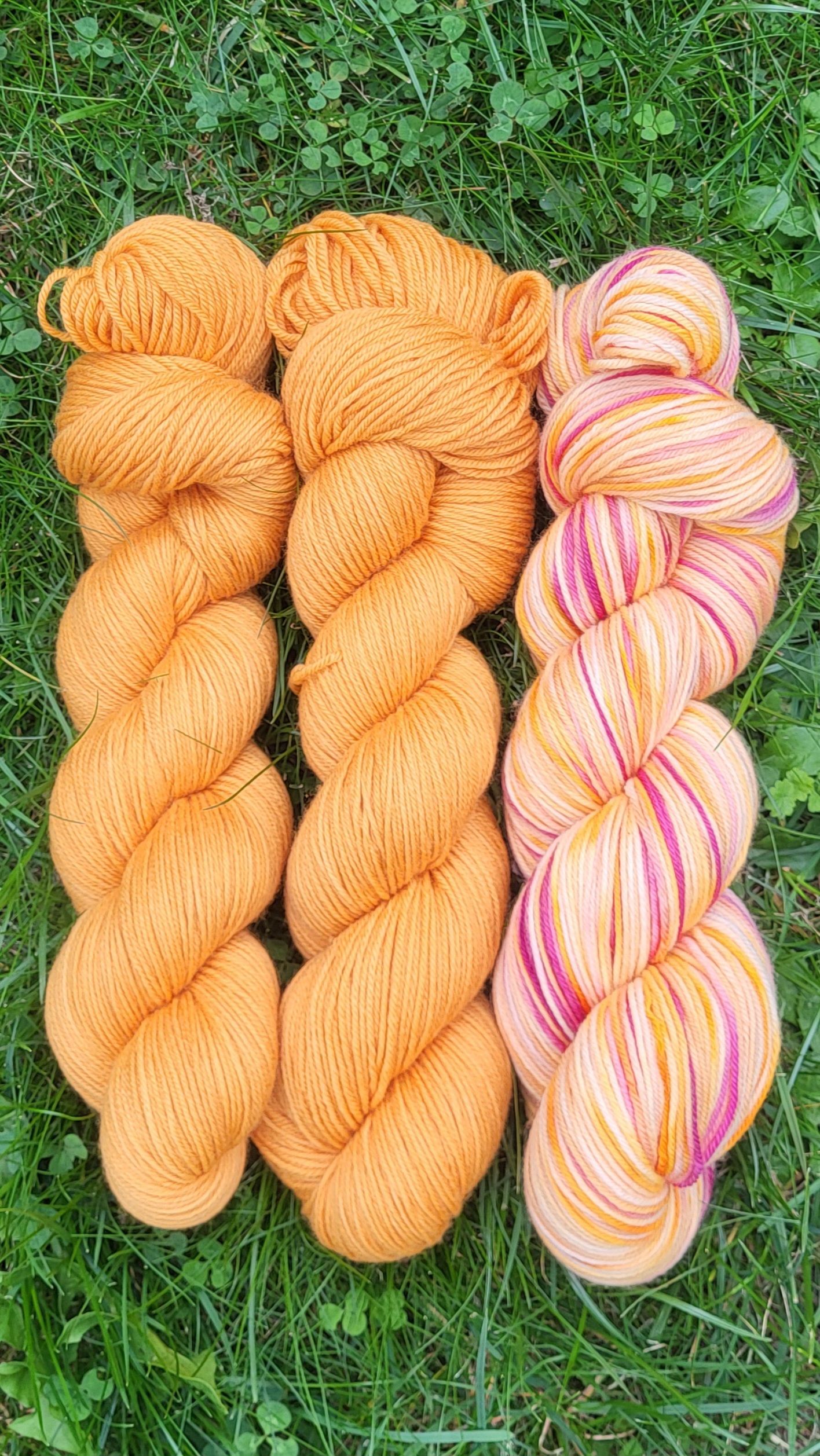 Die samtige Soffi - sanfte Orange – Bild 2
