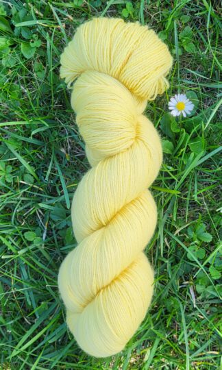 Die fröhliche Vroni - Sonnenblume
