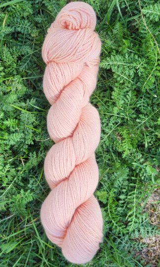 Die edle Irmi - Apricot