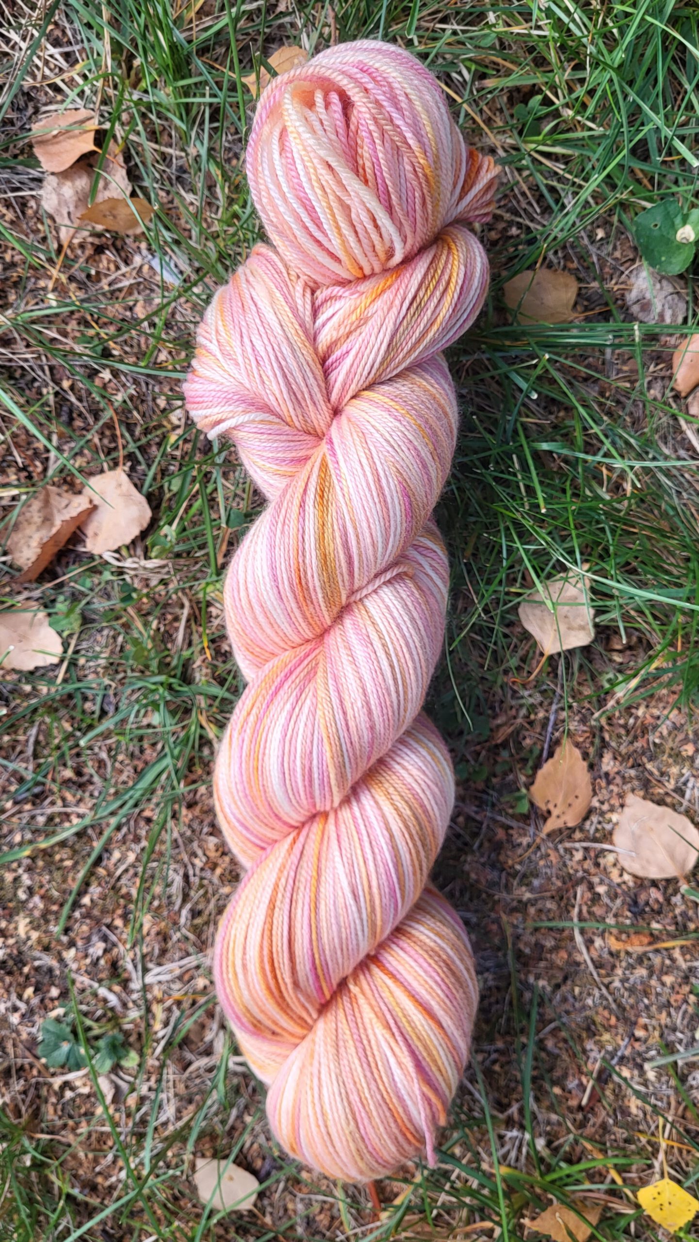 Die Susi light - Sonnenglaszauber 3 – Bild 2